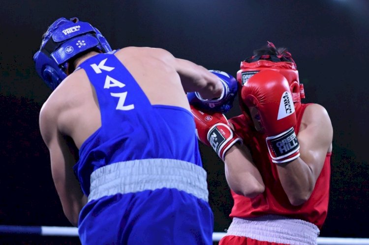 Бас бапкердің алдағы бокс додалары туралы ойы қандай?