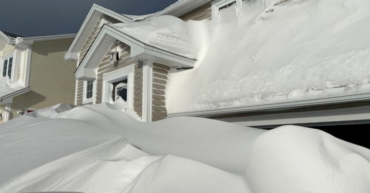 Канадада омбы қар түсті