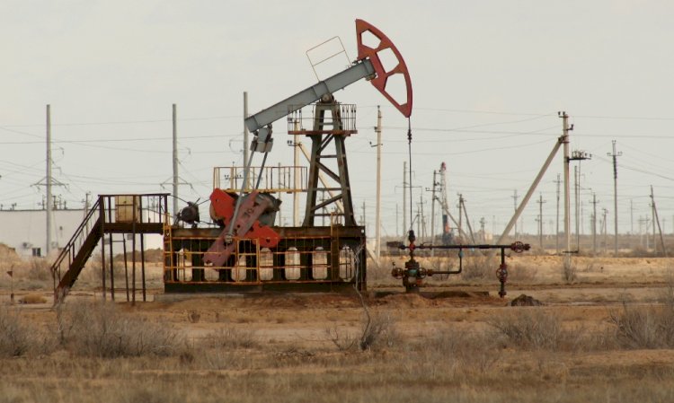 Қазақстанның барлық кен орындарына тексеру жүргізіледі