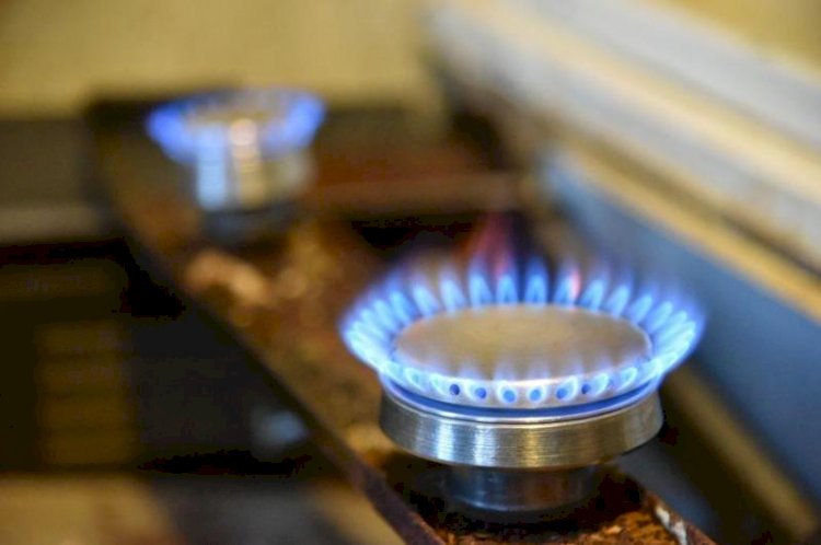 Көгілдір отын бағасы арзандады