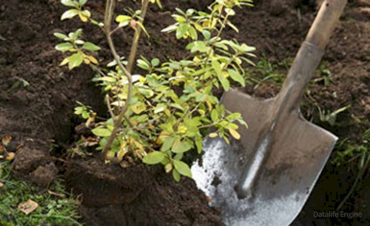 Ерболат Досаев: Алматыда экологиялық таза көліктер үлесі артады