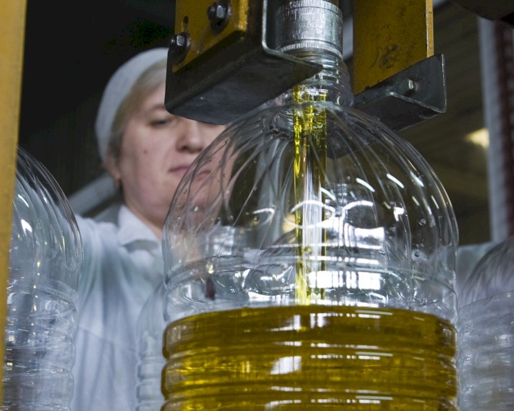 Күнбағыс майының бағасы бір жылда 26 пайызға өсті