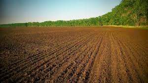 Жер мәселесіне қатысты 246 іс сотта қаралып жатыр