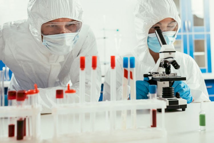 Омикрон штамы мәңгі сақталып қалуы мүмкін