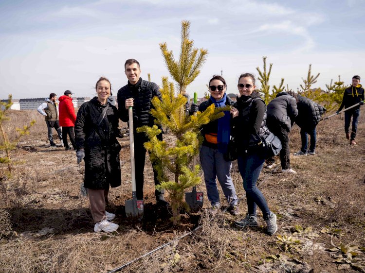 Алматылық экобелсенділер «Қарағай орманында» ағаш отырғызды