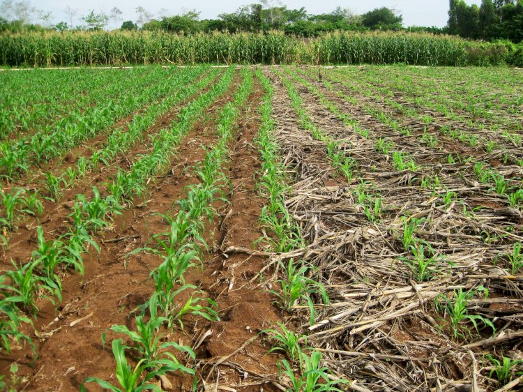 Биыл дала жұмыстарына 220 млрд теңге бөлінеді