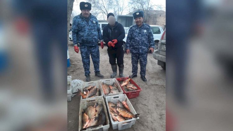 Алматыда облысында заңсыз балық аулаушылар ұсталды