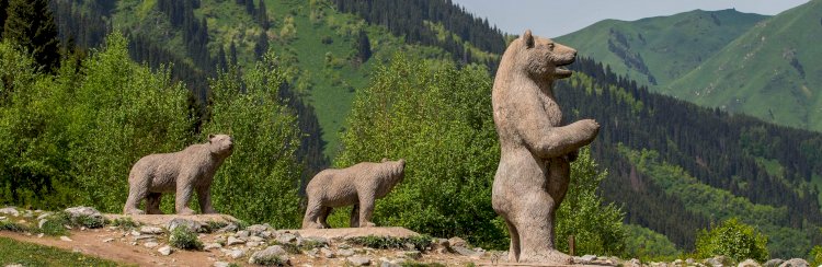 Іле Алатауында 70 шақты қоңыр аю тіршілік етеді