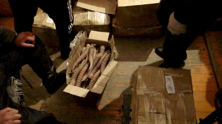 Браконьерлерден құны 1,5 млрд  теңге болатын киік мүйіздері тәркіленді