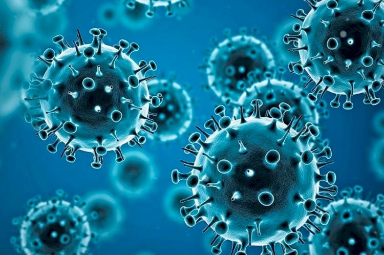 Коронавирус басталғаннан бері әлемде 6 миллионнан астам адам қайтыс болды