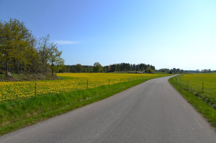 Шамалған станциясының айналма жолы пайдалануға беріледі