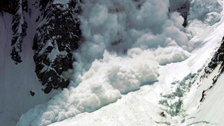 Алматы тауларында көшкін жүріп, екі адам қардың астында қалды