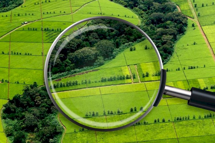 Жосықсыз жер пайдаланушылардан тағы 2,6 млн га жер алынуда