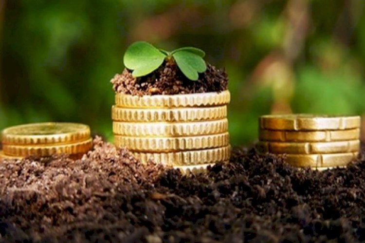 Қазақстанда егінді құрғақшылықтан сақтандыру 24 сәуірге дейін ұзартылды