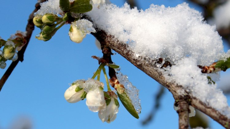 Қазақстанның солтүстік өңірлерінде ауа температурасы төмендейді
