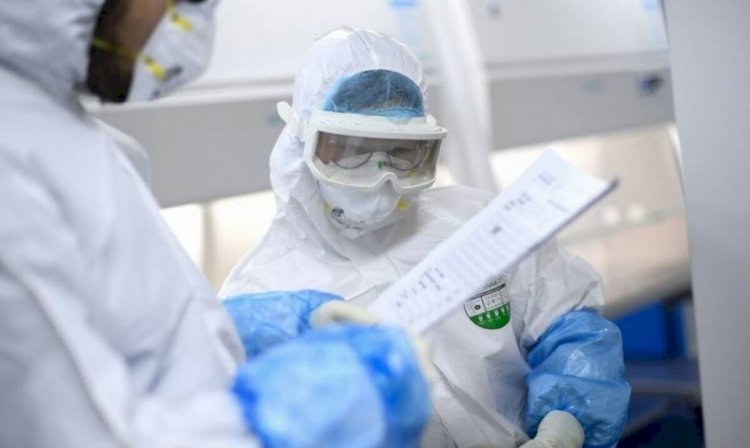 Өткен тәулікте коронавирустан 19 адам жазылып шықты