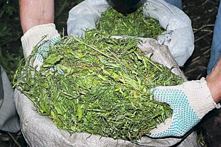 Полиция қызметкерлері ірі көлемдегі ескірткіні тәркіледі