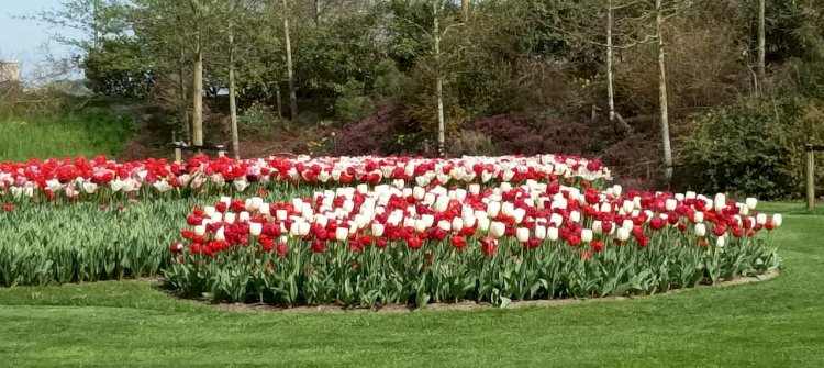 Алдағы күндерге арналған ауа райы болжамы