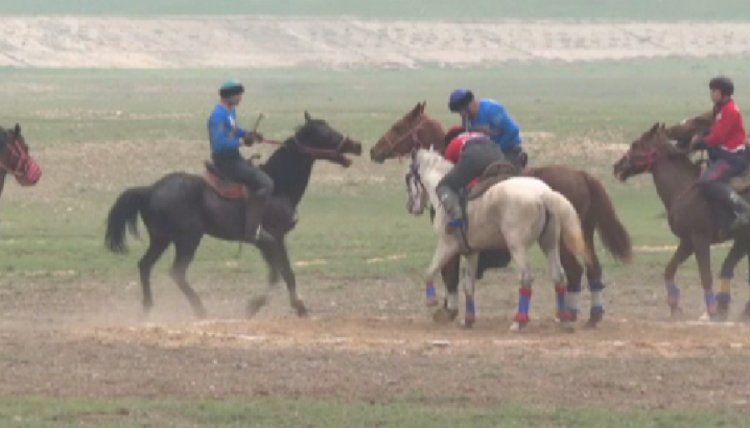 Қаскелеңде заңсыз көкпар ұйымдастырғандар жауапқа тартылды