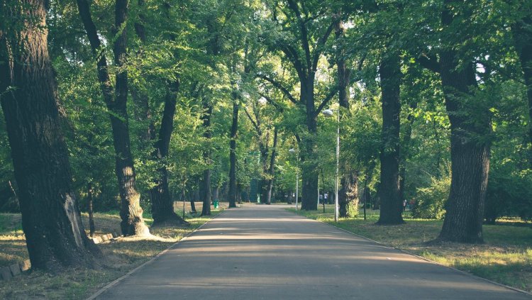Алматы әкімдігі екі саябақ аймағын салу мерзімін орындамаған мердігермен келісім шартты бұзды