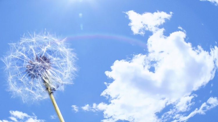 Еліміздің барлық қаласында ауа сапасы қолайлы болады