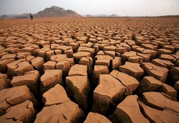 Синоптиктер құрғақшылық туралы алғашқы дабылды ескерту жасауда