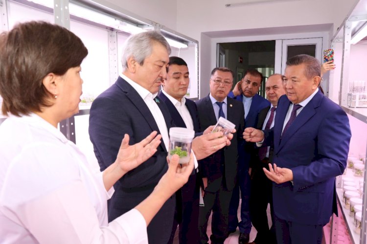 РЕФЕРЕНДУМ - ЕЛІМІЗДІҢ БОЛАШАҒЫ ҮШІН МАҢЫЗДЫ ҚАДАМ