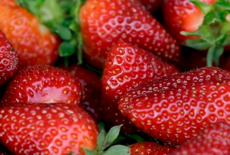 Құлпынайды қалай таңдаймыз? 5 пайдалы кеңес