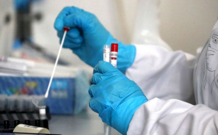 Өткен аптада коронавирустың тарауы 11%, өлім-жітім 3% төмендеді - ДДСҰ