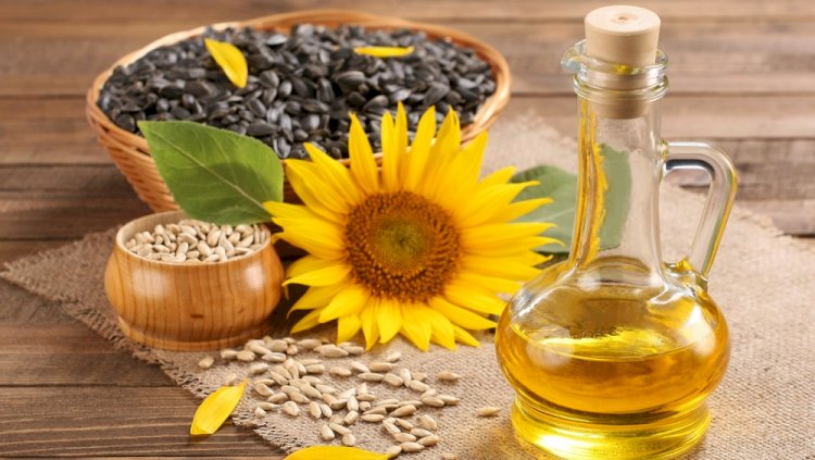 Қазақстан Қытайға күнбағыс майының экспортын ұлғайтты