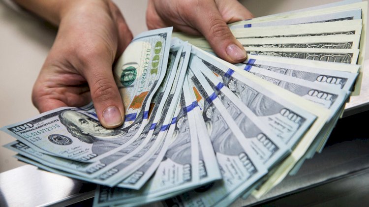 Алматы облысында жалған доллар сатылды