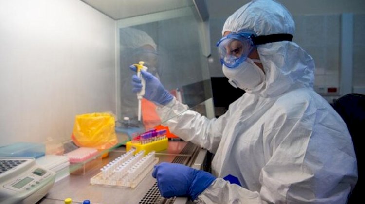 Кеше 25 адамнан коронавирус анықталды