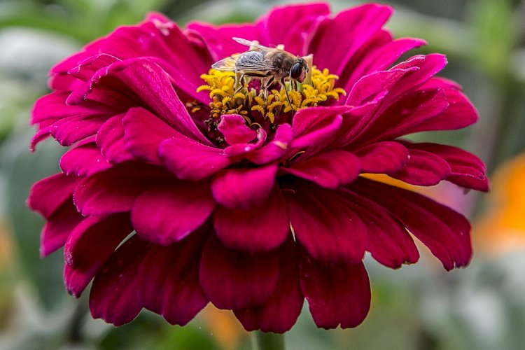 Алдағы күндері кей өңірлерде 37-42 градус ыстық болады