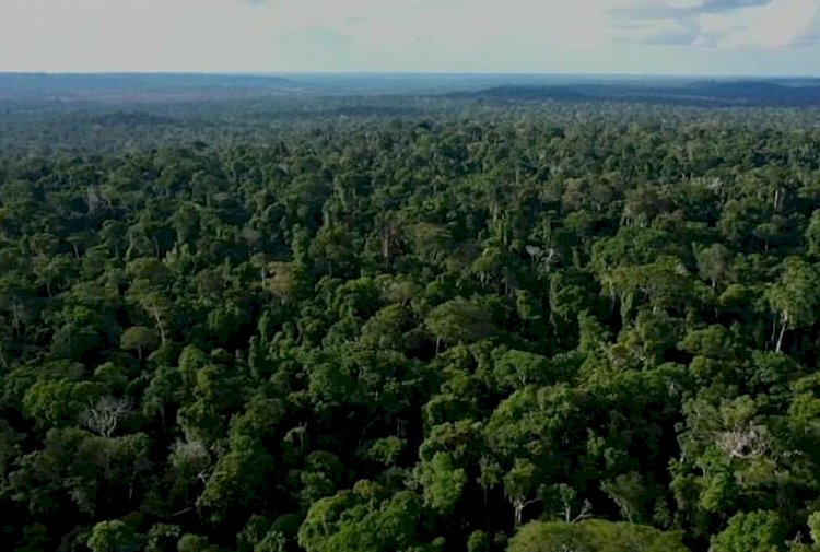 Бразилияда із-түзсіз жоғалып кеткен журналист пен гид іздестіріліп жатыр