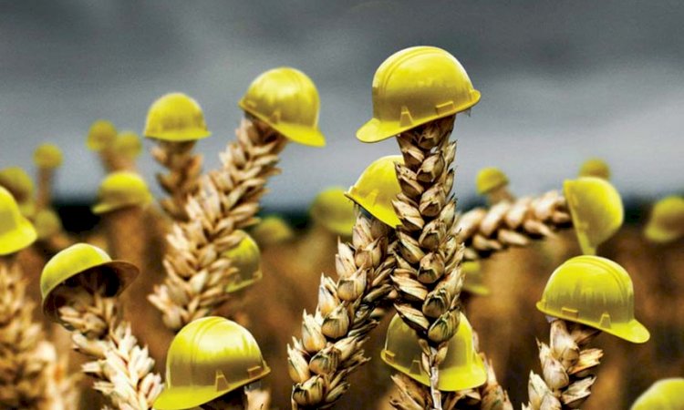 Сақтандырудың сыры неде?