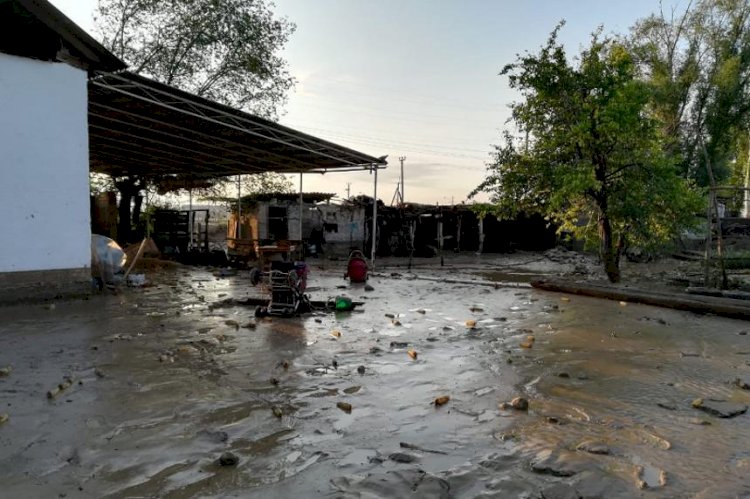 Алматы облысында бірнеше үйдің ауласын су басты
