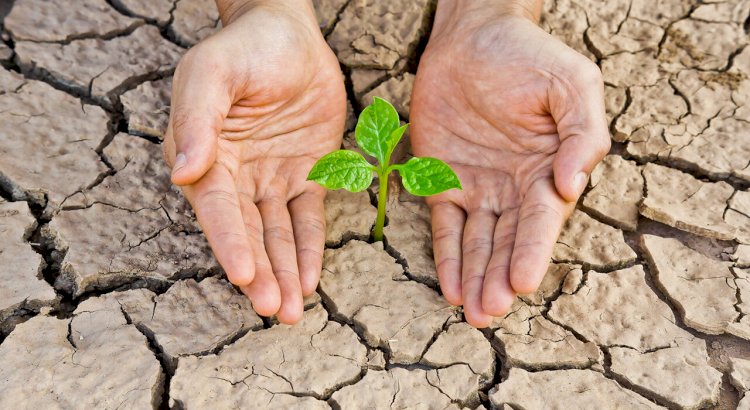 Қазақстандық сарапшылар климаттық мәселенің ушығып келе жатқанын айтты