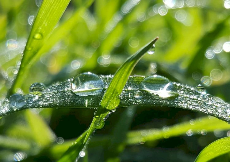 Алдағы тәуліктерде күн салқындап, қатты жаңбыр жауады