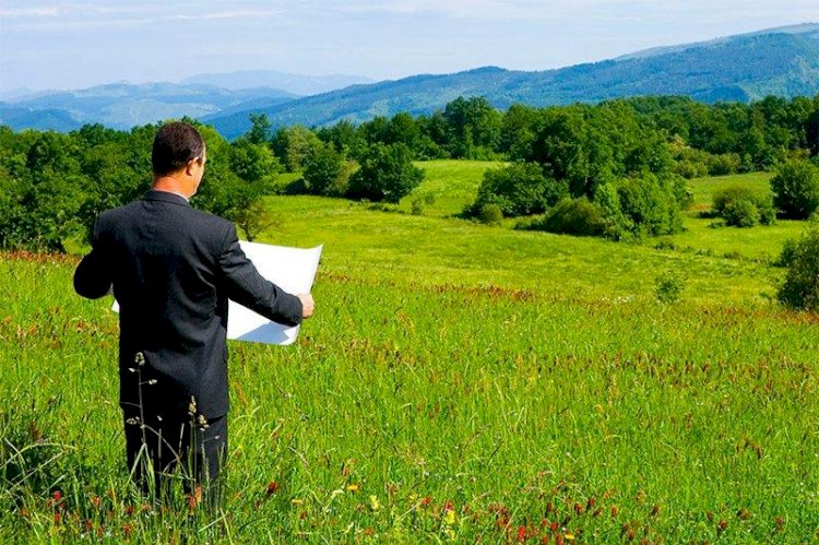 Қазақстанда алғаш рет жер учаскелері онлайн аукционда сатылып жатыр