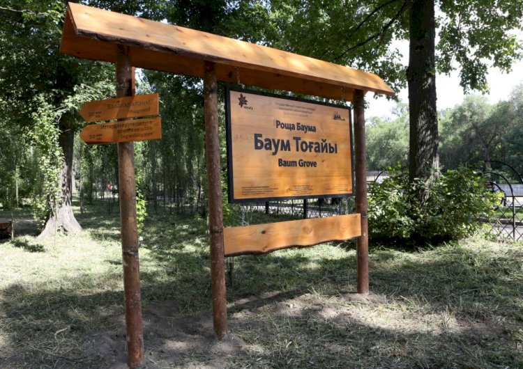 Баум тоғайы бойынша үлкен жобалар жасалып жатыр