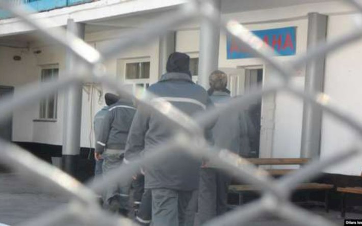 Бейімдеу жобасы