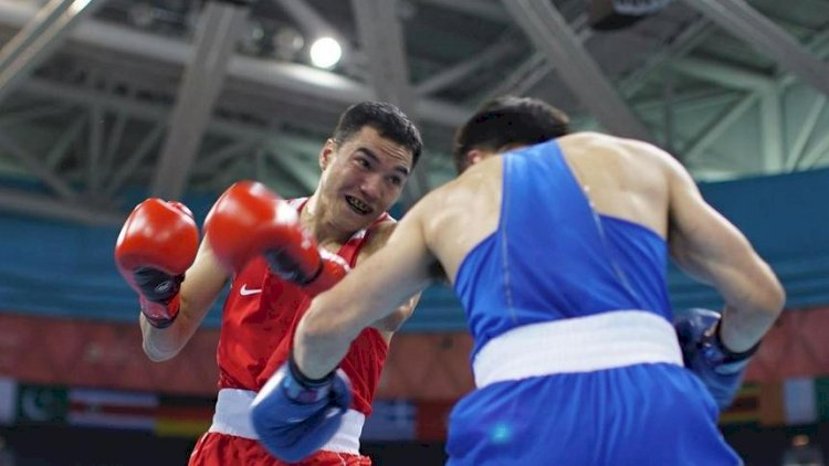 Елорда кубогында қазақстандық 23 боксшы финалға шықты