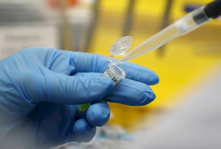 Жаңа Зеландияда омикрон штаммының жаңа түрі таралып жатыр