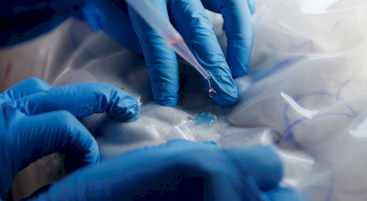 Есірткімен күрес белсенді жүргізілмесе, ертең бәрі кеш болуы мүмкін – Мемлекет басшысы