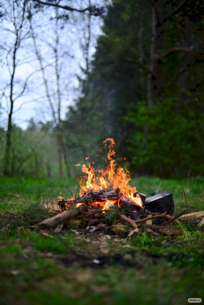 Табиғи аумақтарда от жаққан демалушыларға айыппұл салынбақ