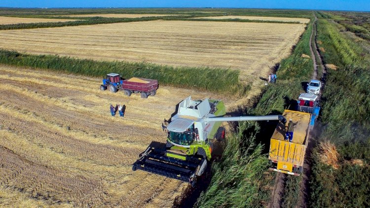 Қазақстанның ауыл шаруашылығы саласында бос жұмыс орны көп