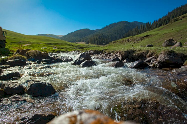 Жыл соңына дейін республикаға 700 мыңға жуық шетелдік турист келеді деп күтілуде