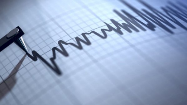 Жапонияның орталық бөлігінде бірнеше күшті жер сілкінісі тіркелді