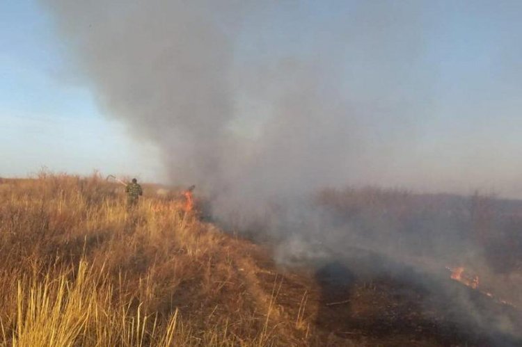 Елімізде табиғи өрттің тұтануына 50%-дан астамына адами фактор себеп болған