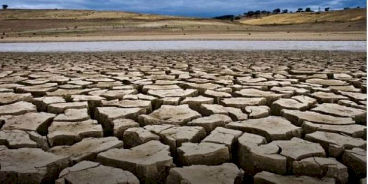 Венгрияда ыстықтан көлдер тартылып қалды